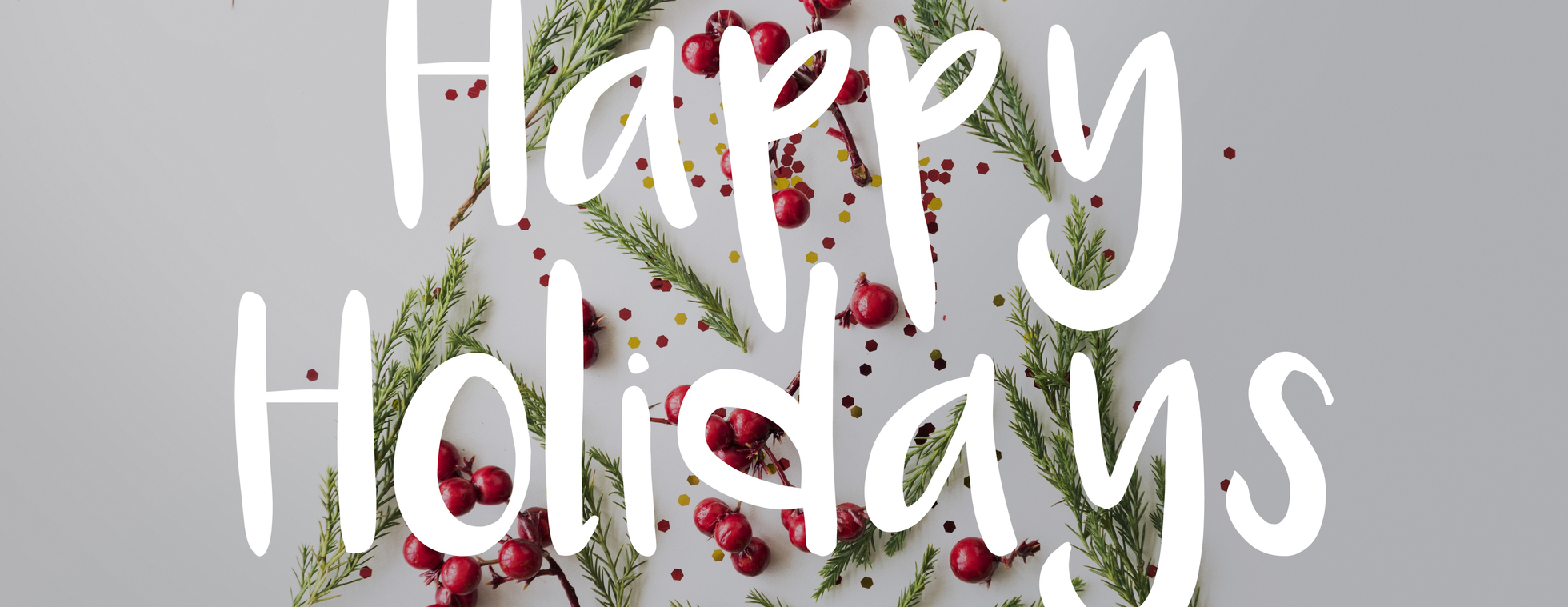 DSC Holiday Party 2025